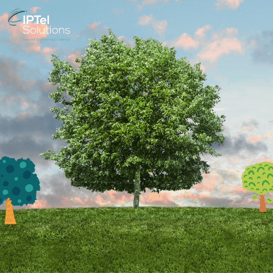 Effect of Trees on WiFi